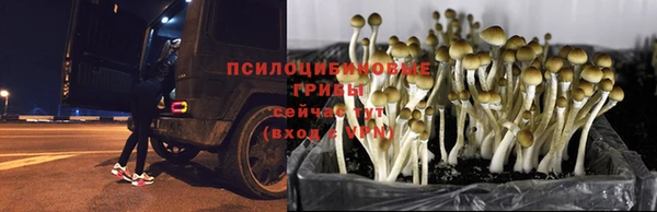 кокаин колумбия Нязепетровск