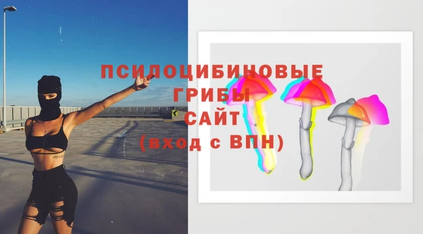 mix Няндома