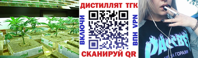 Купить где  Слободской  ТГК THC oil 